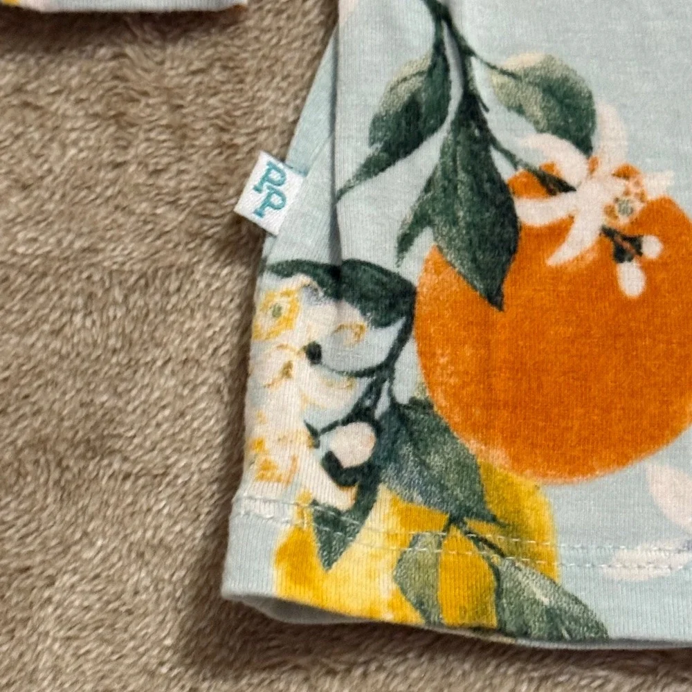 Posh Peanut Clementine Bamboo Viscose Pajama Set Kids 4T Blue Orange Lemon 2pc